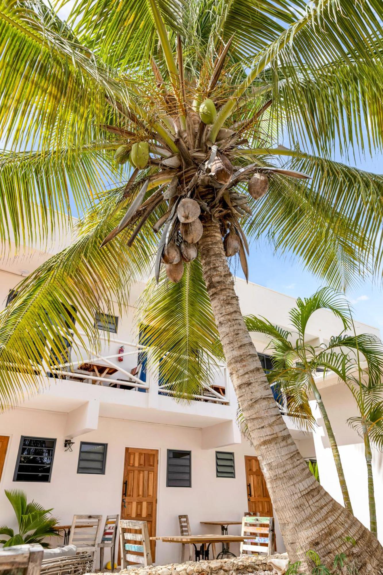 Готель The Hut Bonaire Кралендейк Екстер'єр фото